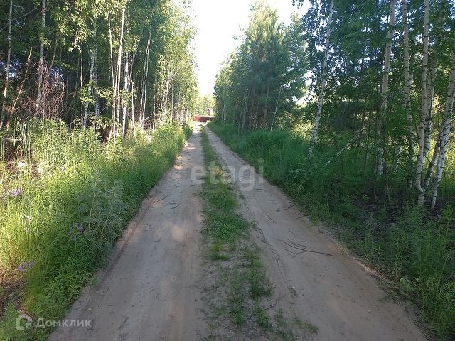 земля р-н Городецкий фото 9