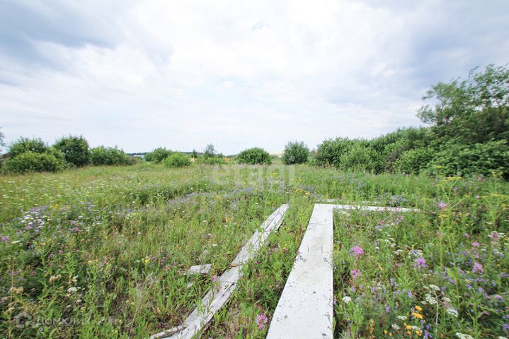 земля р-н Вагайский фото 10