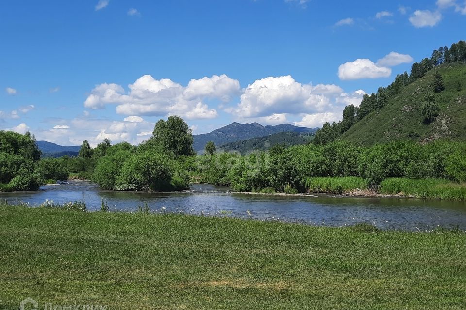 земля р-н Алтайский фото 7