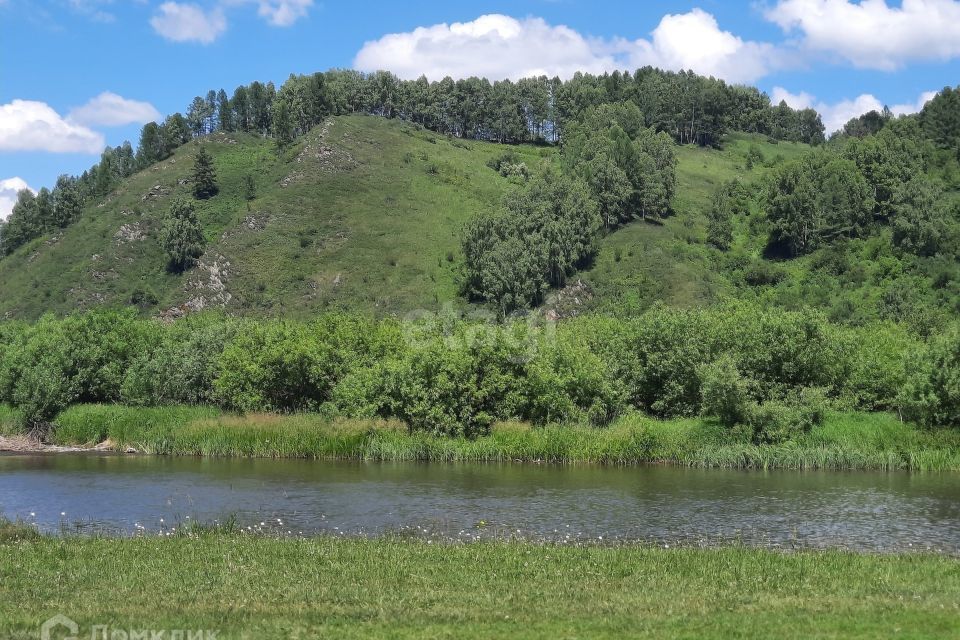 земля р-н Алтайский фото 9