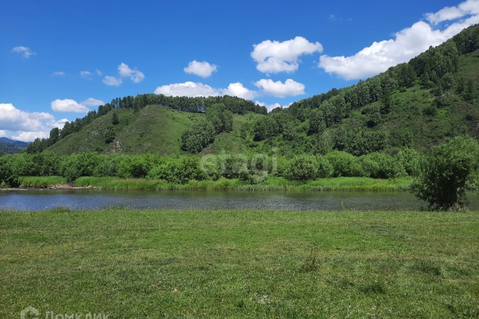 земля р-н Алтайский фото 10