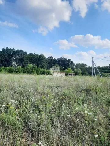 земля р-н Белгородский с Шагаровка ул Хвойная фото 1