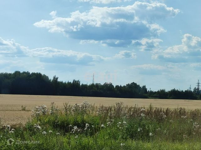 земля р-н Костромской фото 1