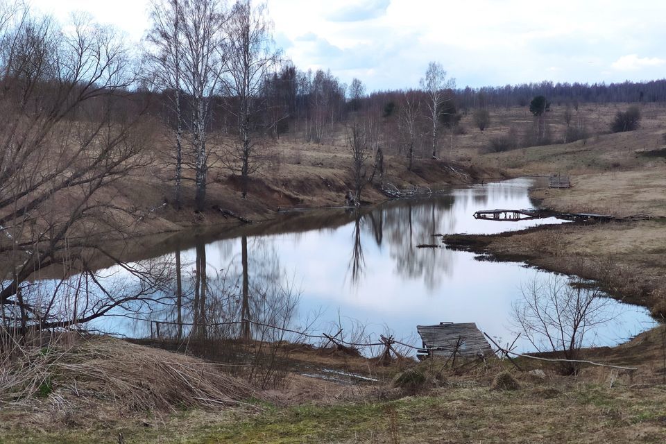 земля р-н Козельский фото 3