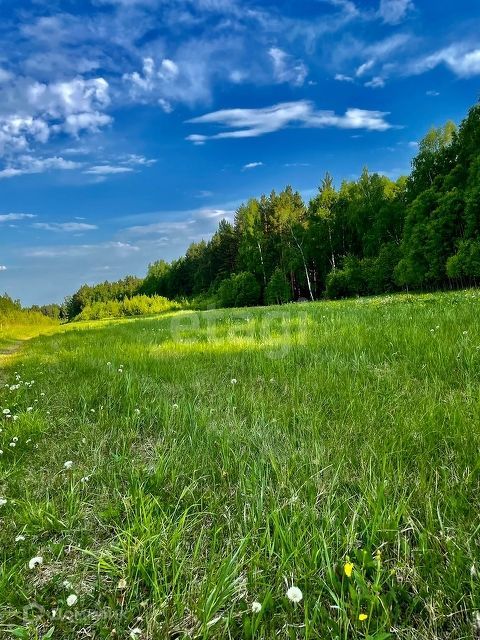 земля р-н Емельяновский фото 4