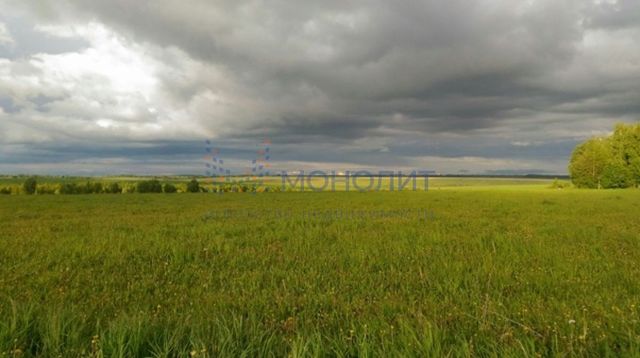 земля р-н Моргаушский с/п Большесундырское Республика Чувашия фото