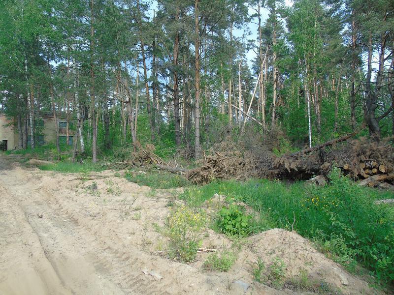 земля городской округ Одинцовский с Успенское фото 2