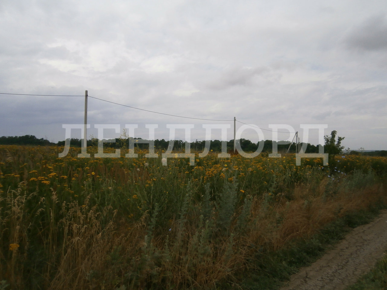 земля р-н Аксайский х Александровка ул Вишневая фото 4