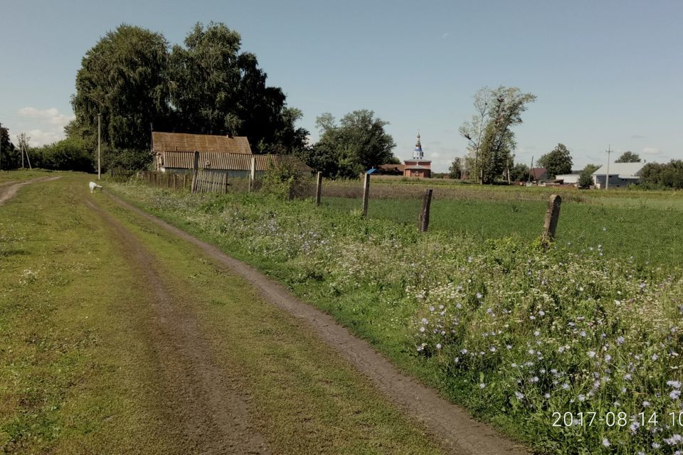 земля р-н Комсомольский с Новочелны-Сюрбеево ул Больничная фото 5