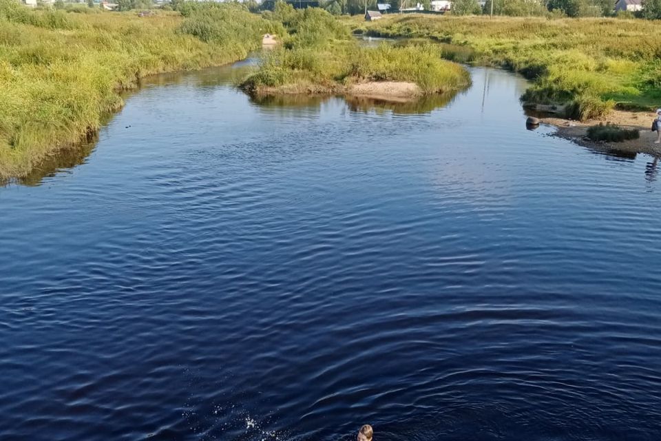 дом р-н Сямженский с Сямжа ул Дьяковская 62 фото 5