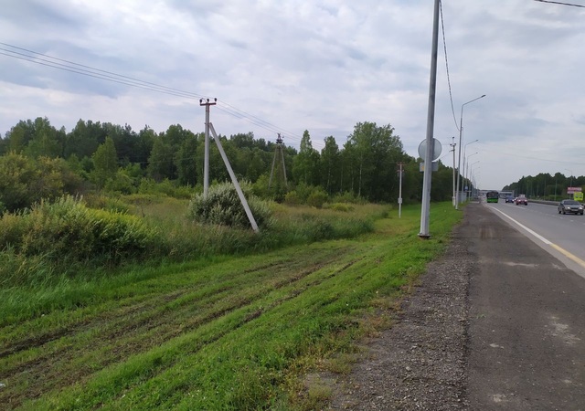 земля д Дербыши фото