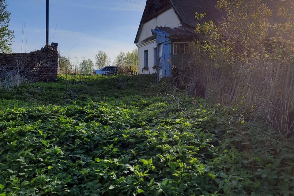 земля р-н Пушкиногорский фото 3