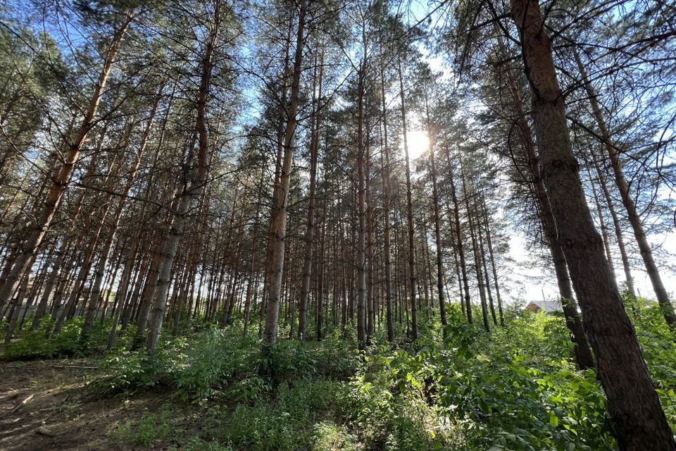 земля р-н Оренбургский с Нежинка ул Ивановская фото 1