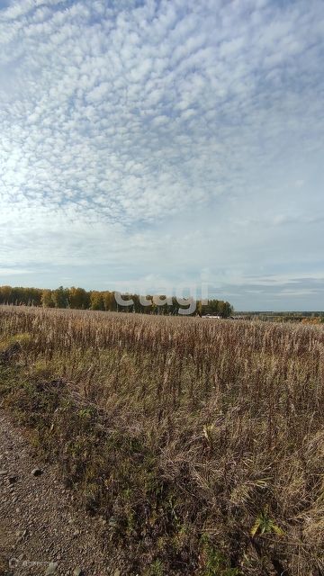 земля р-н Емельяновский фото 1