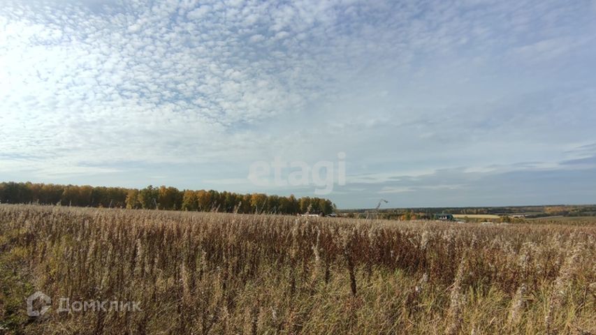 земля р-н Емельяновский фото 1