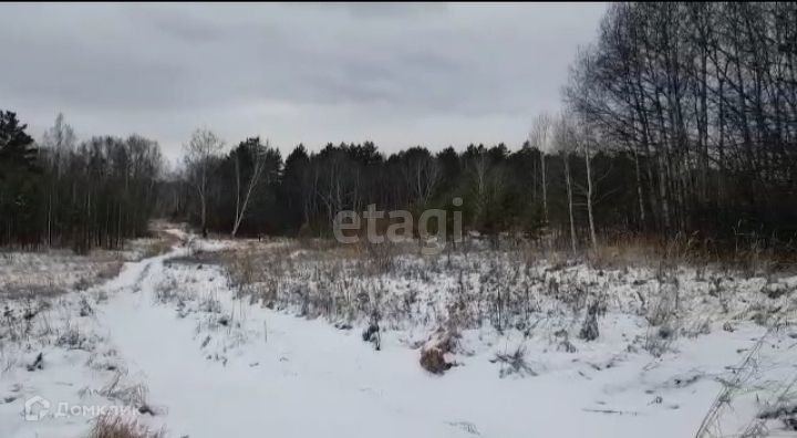 земля р-н Емельяновский с Дрокино ул Майская фото 1