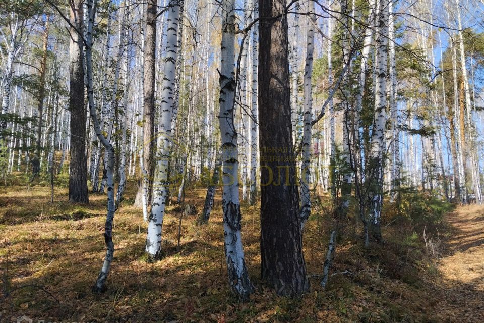 земля г Дегтярск ул Жуковского 11 фото 3