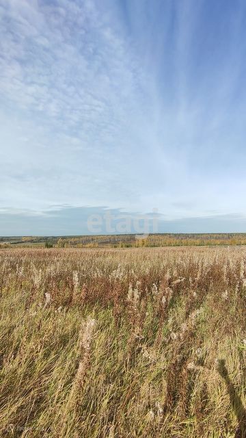 земля р-н Емельяновский фото 2