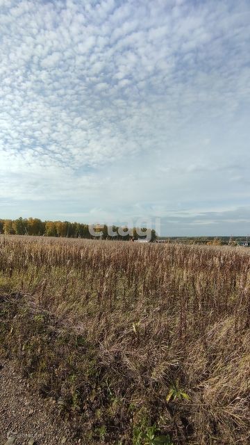 земля р-н Емельяновский фото 2