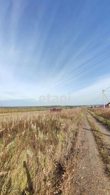 земля р-н Емельяновский фото 2