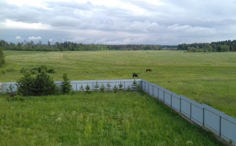 дом городской округ Одинцовский д Марьино фото 12