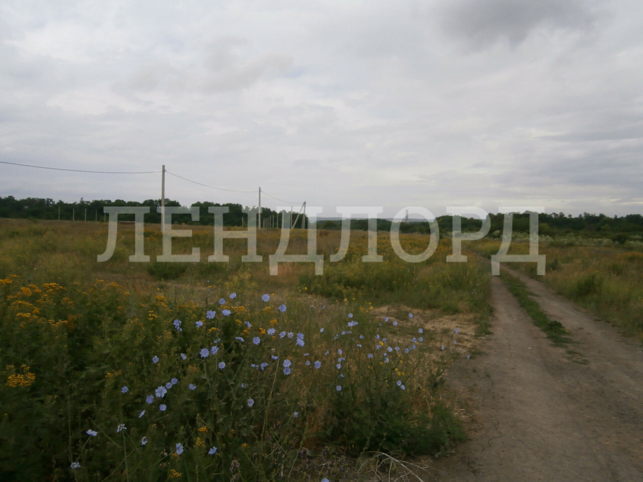 земля р-н Аксайский х Александровка ул Вишневая фото 5