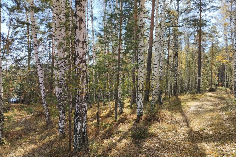 земля г Дегтярск ул Жуковского 11 фото 6