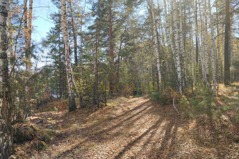земля г Дегтярск ул Жуковского 11 фото 7