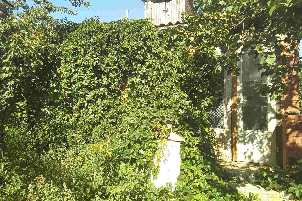 дом р-н Марксовский фото 5