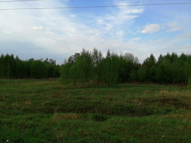 земля городской округ Озерский д Доношово Полевая фото 1