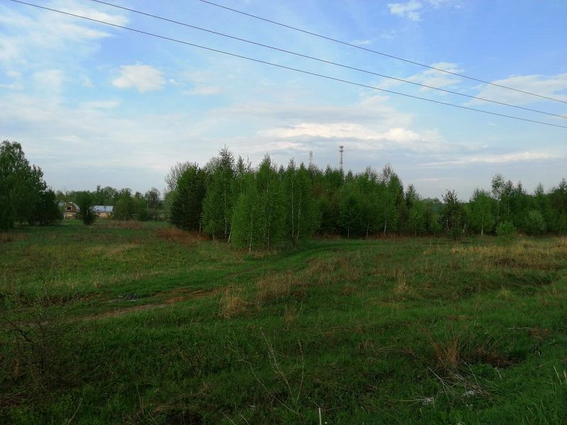 земля городской округ Озерский д Доношово Полевая фото 3