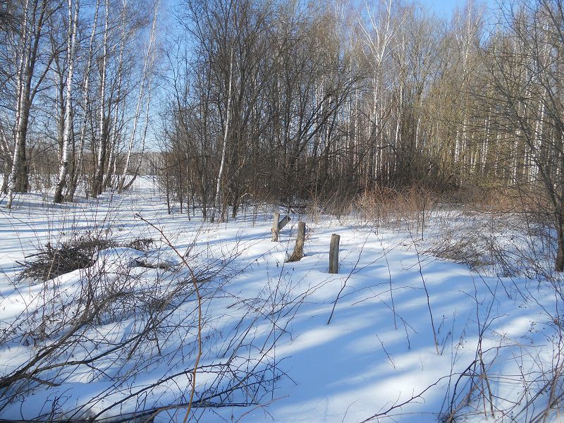 земля городской округ Ступино с Кондрево пер 2-й Никольский фото 3