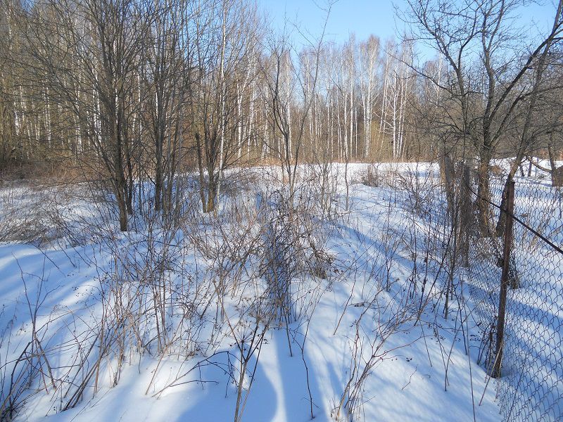 земля городской округ Ступино с Кондрево пер 2-й Никольский фото 4