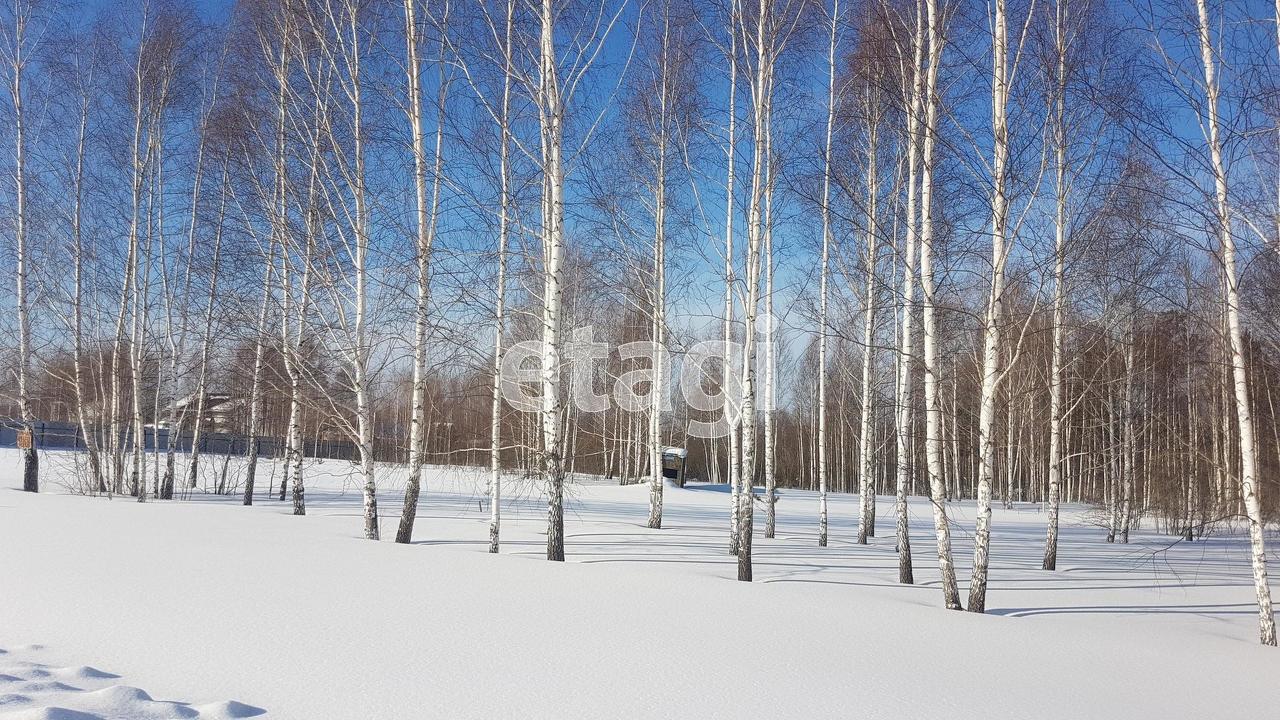 земля р-н Ялуторовский д Озерная деревня Тангачи фото 4