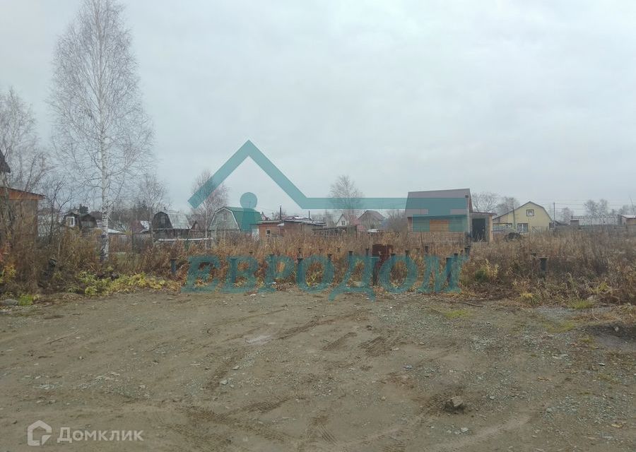 земля р-н Новосибирский снт Калинка фото 1
