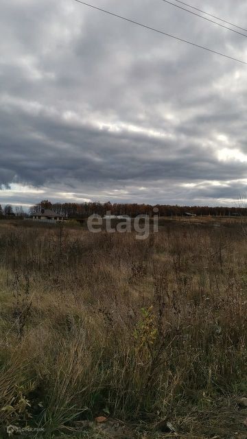 земля г Воронеж р-н Левобережный Семилукские Выселки ул Смородиновая 5а фото 1