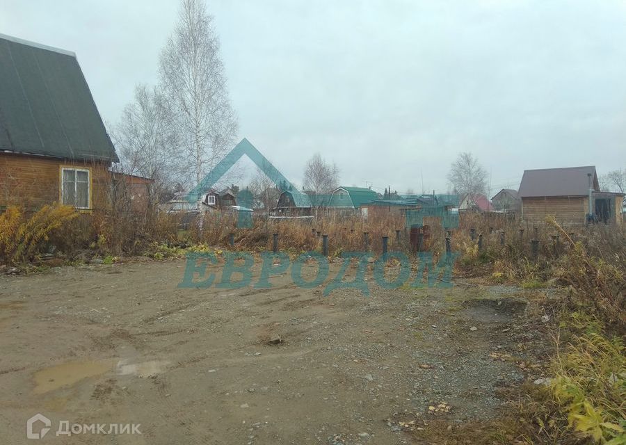 земля р-н Новосибирский снт Калинка фото 3