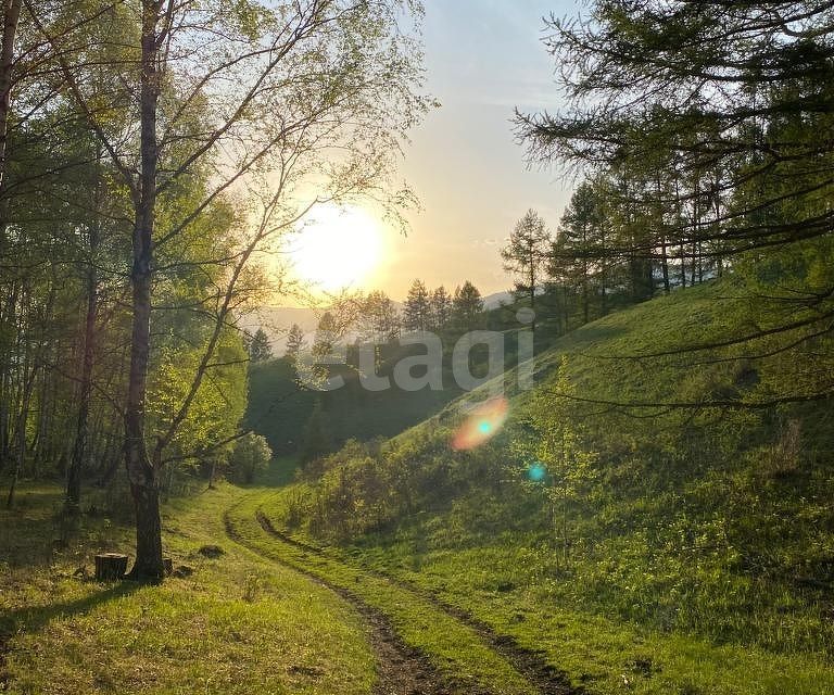 земля р-н Усть-Коксинский фото 3