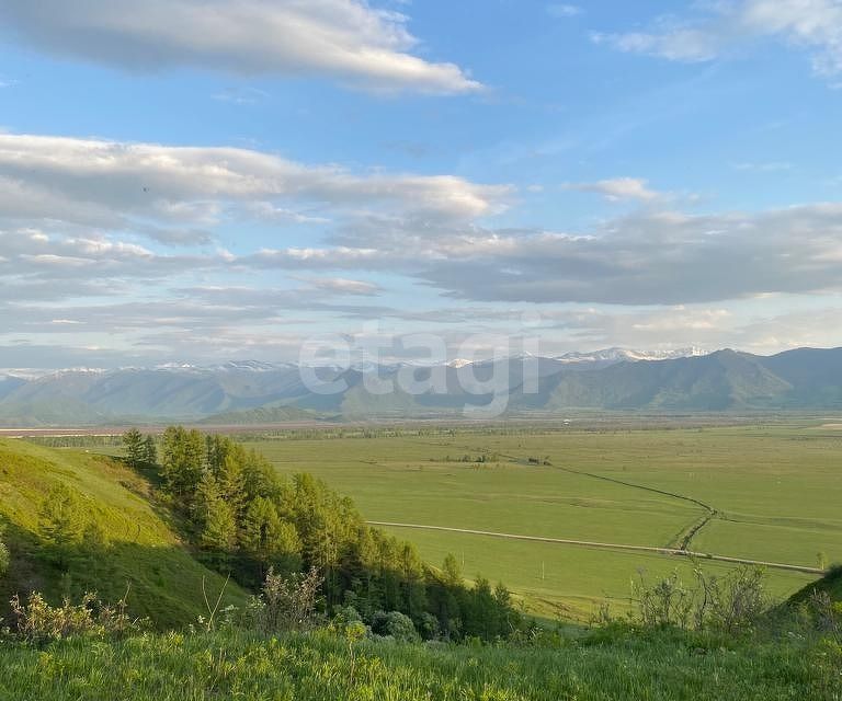 земля р-н Усть-Коксинский фото 4