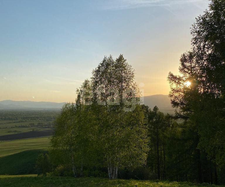 земля р-н Усть-Коксинский фото 6