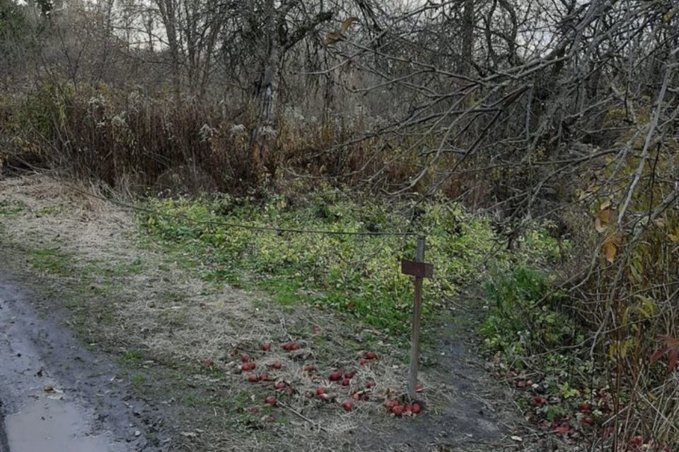 земля р-н Калининский фото 1