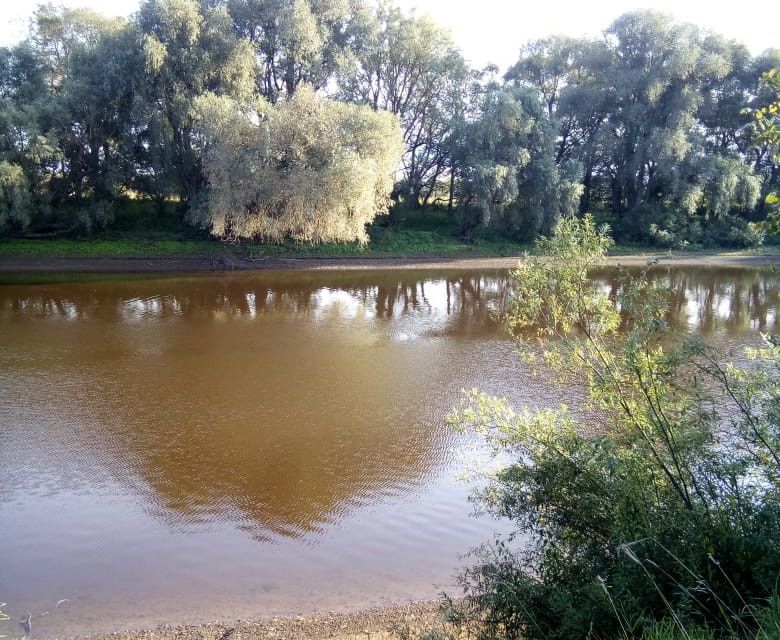 земля р-н Новгородский с Бронница фото 1