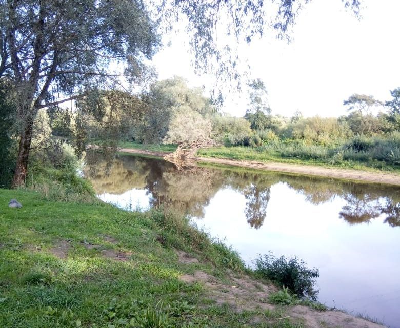 земля р-н Новгородский с Бронница фото 2