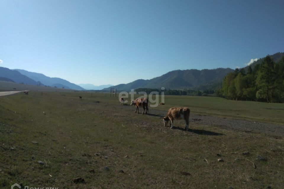 земля р-н Онгудайский фото 4