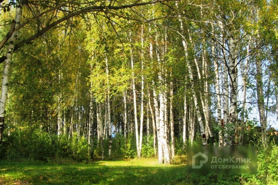 земля р-н Киржачский д Акулово ул Центральная фото 2