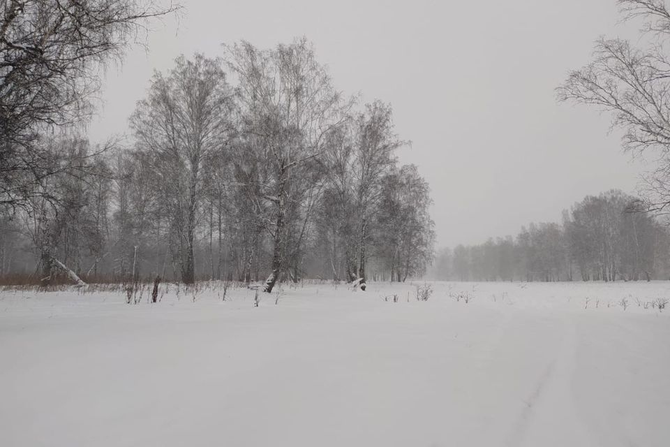 земля р-н Новосибирский п Ленинский ул Гаражная 1к/2 фото 5