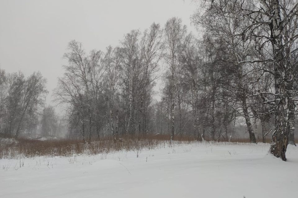 земля р-н Новосибирский п Ленинский ул Гаражная 1к/2 фото 7