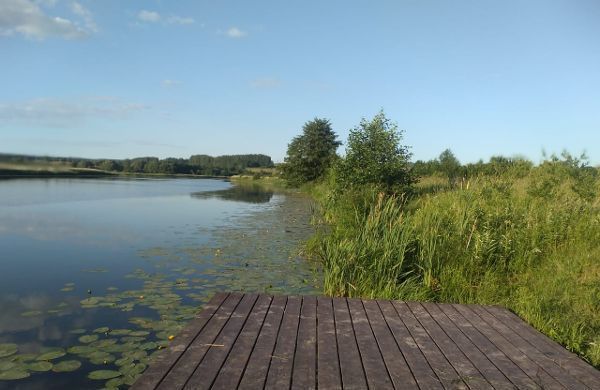 земля ул Кануновка Пронское городское поселение, Пронск фото