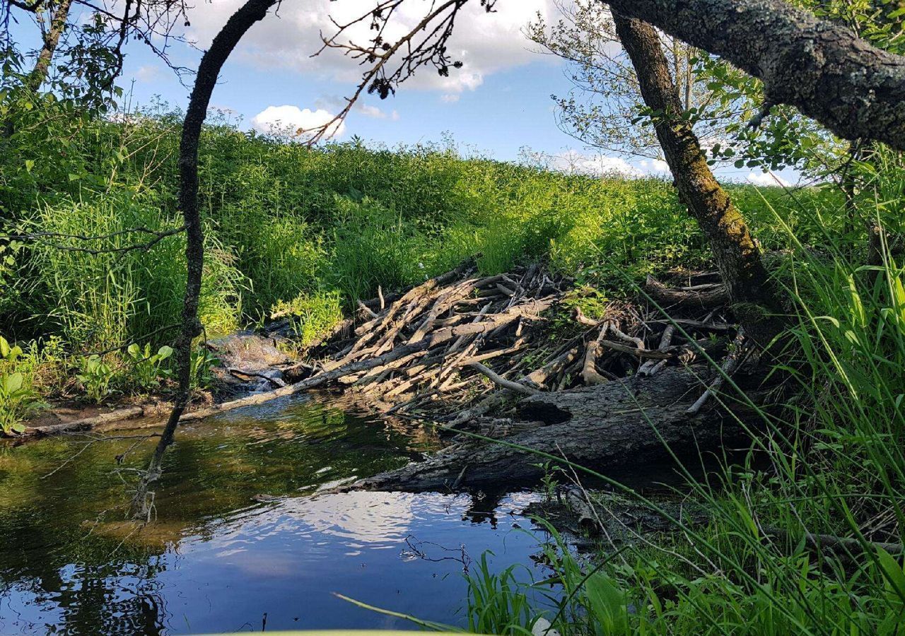 земля городской округ Ступино д Боброво Мещерино фото 4