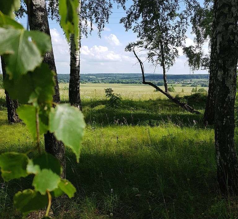 земля городской округ Ступино д Боброво Мещерино фото 7